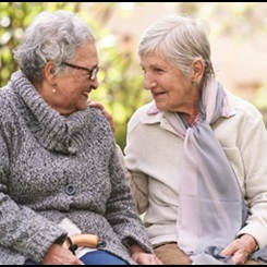 family dinner-celebration